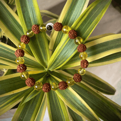 Natural Rudraksha & Citrine Goodluck Charm Bracelet