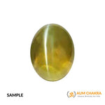 Chrysoberyl Cat's Eye (Ceylonese) - Premium